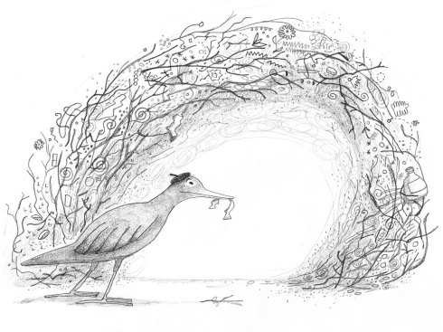 bowerbird building a bower sketch